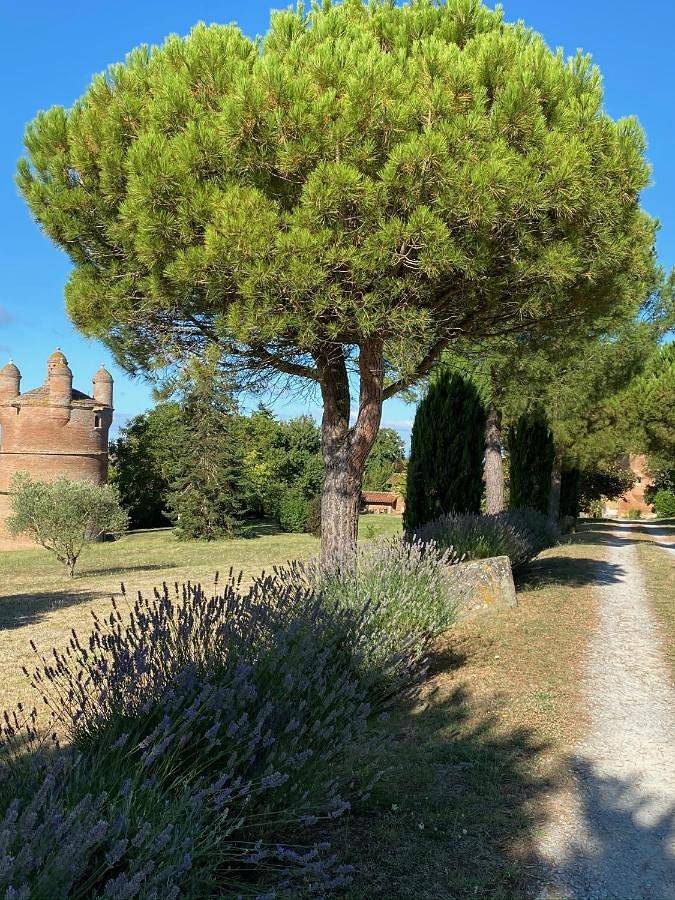 Manoir du Bouyssou in Cintegabelle, Lauragais