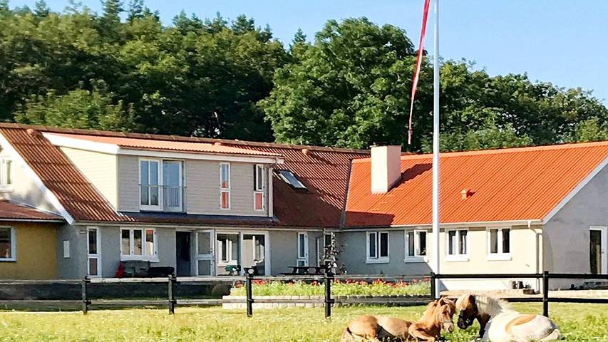 Ferienhaus für 5 Personen, mit Terrasse, mit Haustier in Frederikshavn