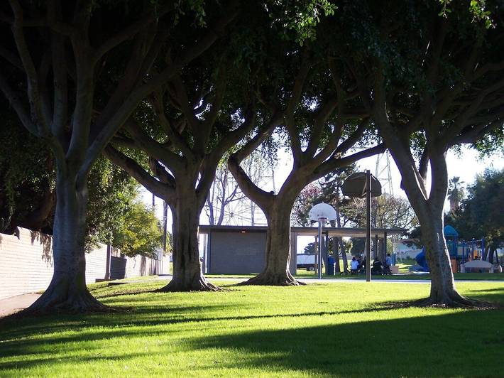 Vacation rental for 8 people, with terrace and yard in Redondo Beach