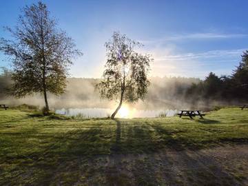 Ferieudlejning til 4 Personer i Arrild, Tønder Kommune, Billede 4