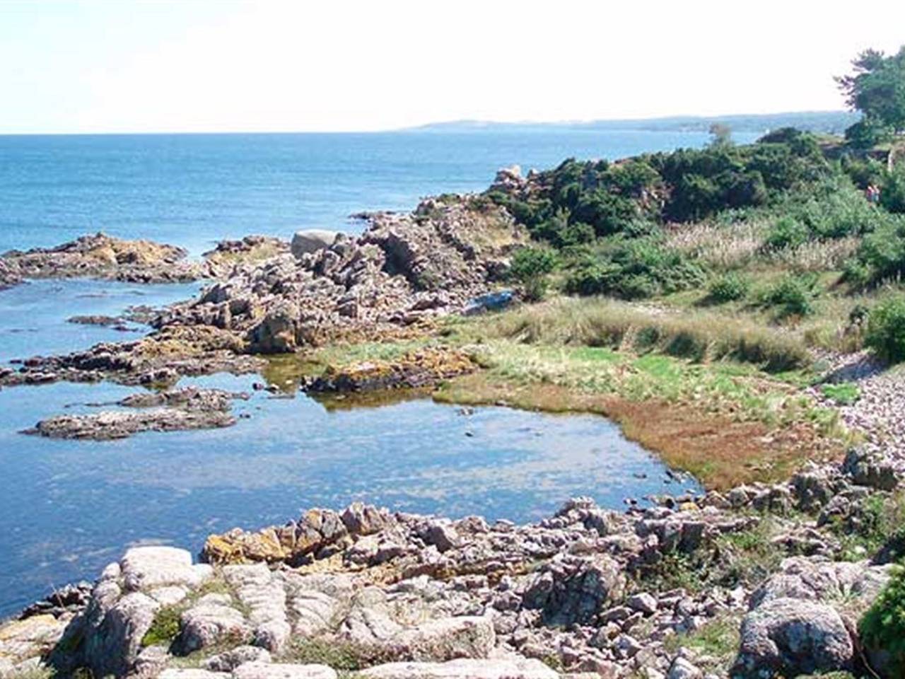 Hel leilighet, "Folki" - 300m from the sea in Sandkås, Allinge