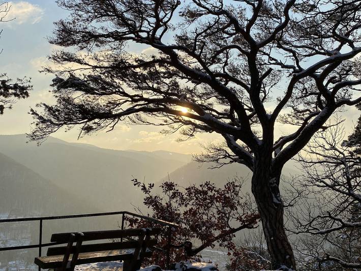 Ferienwohnung für 2 Personen, mit Terrasse in Neustadt an der Weinstraße - 2