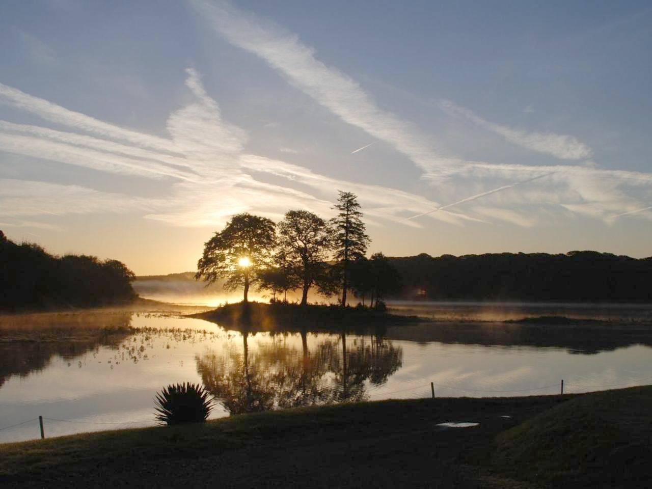 Standard Double or Twin Room in Pembrokeshire