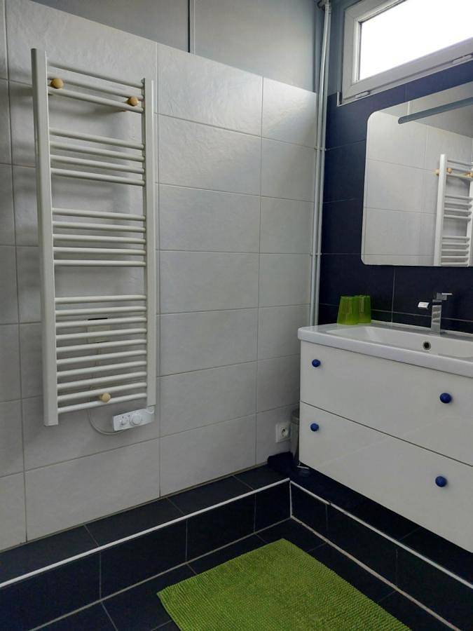 Bateau pour 2 personnes, avec terrasse ainsi que jardin et vue, animaux acceptés dans Île de France - 4