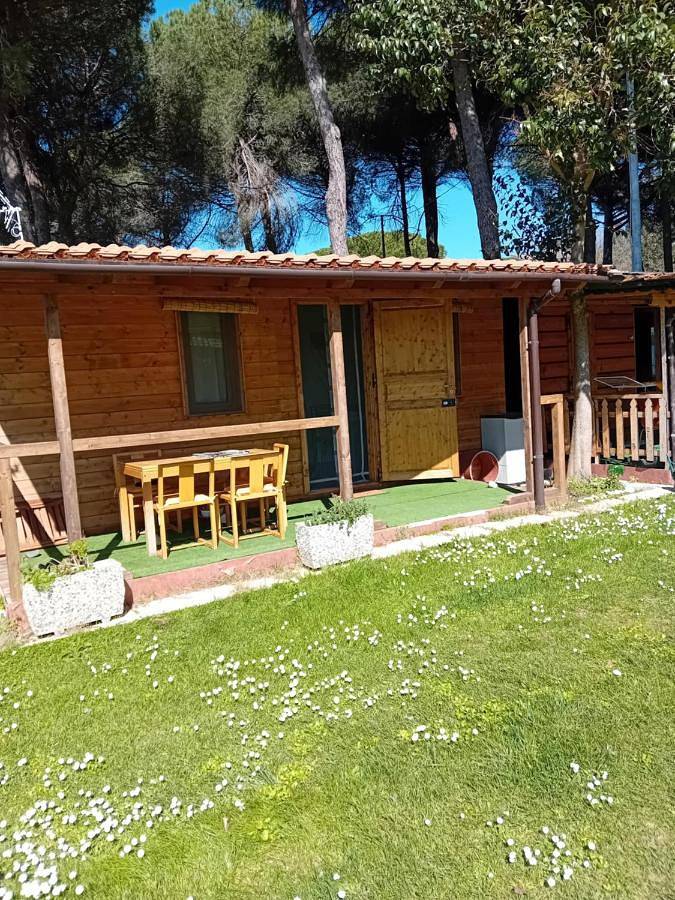Campeggio Parco Dei Pini in Magione, Lago Trasimeno
