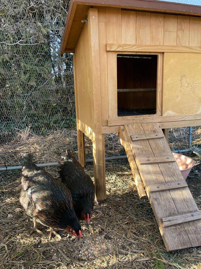 Location de vacances pour 6 personnes, avec jardin et terrasse à Doucier - 2