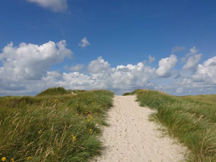 Ferienhaus für 5 Personen, mit Terrasse in Vejers Strand - 2
