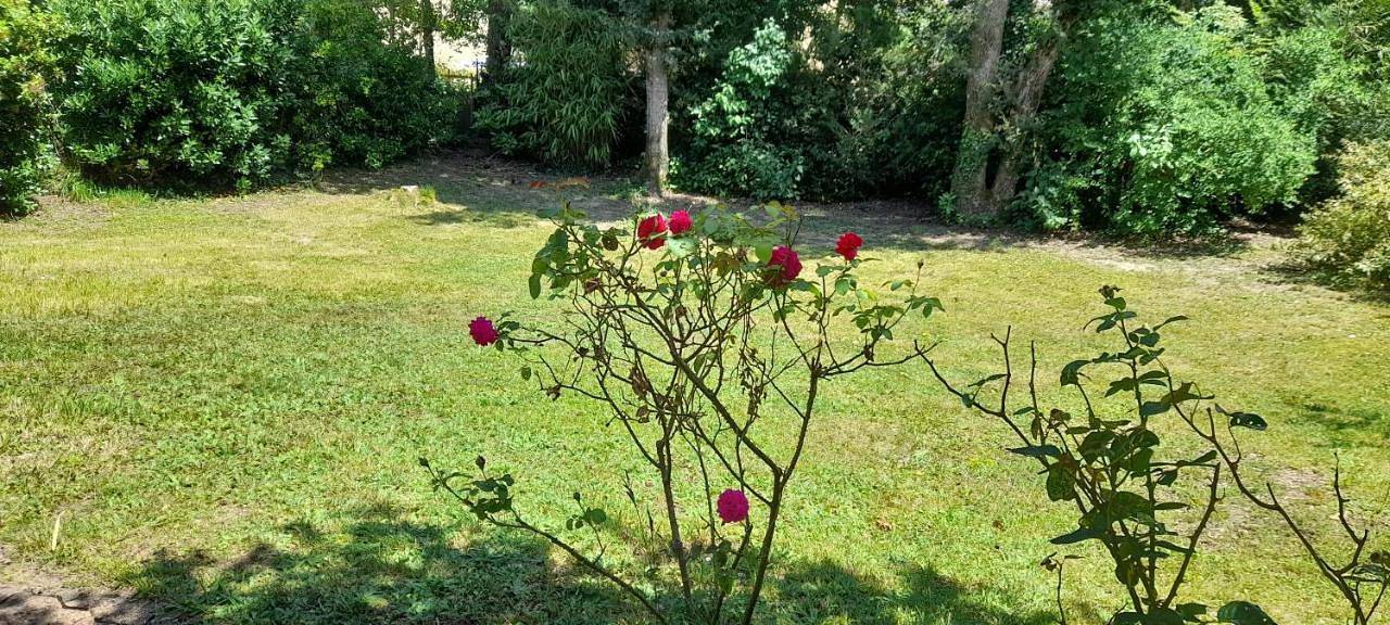 Five-Bedroom House in Mignaloux-Beauvoir, Vienne (France)
