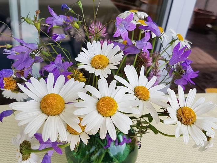 Ferienhaus für 5 Personen, mit Balkon und Garten in Schneizlreuth - 2