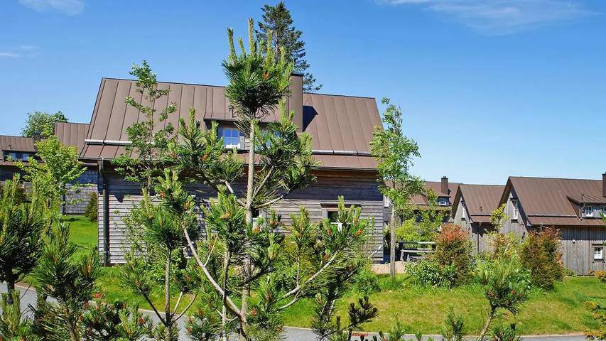 Ferienhaus für 6 Personen, mit Sauna und Garten in Altenau - 3