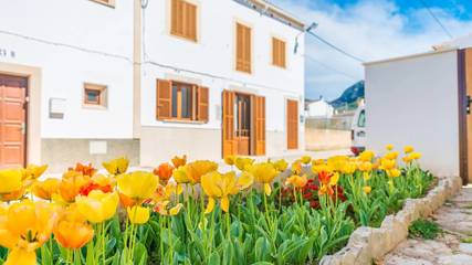 Holiday apartment in Artà, Coast of Mallorca für 7 