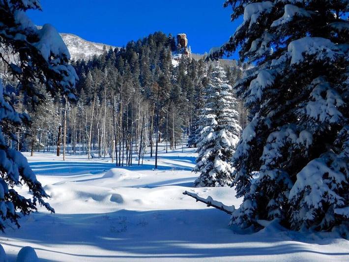 Vacation house for 26 people, with yard, with pets in San Juan National Forest