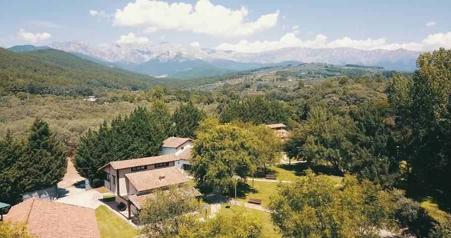 Offer view