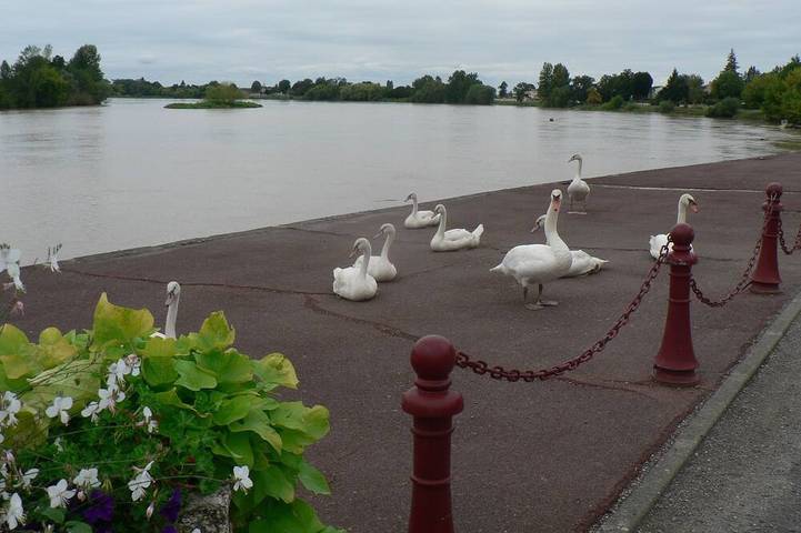 Location de vacances pour 3 personnes, avec jardin et terrasse à Vignonet