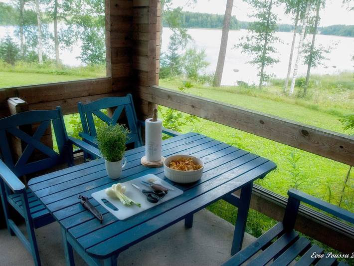 Pihlaja in Konaanjärvi, Eigentliche Häme