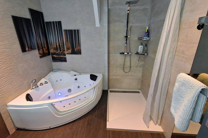 Gîte pour 4 personnes, avec jardin ainsi que jacuzzi et terrasse à Saint-Vincent-de-Tyrosse - 4