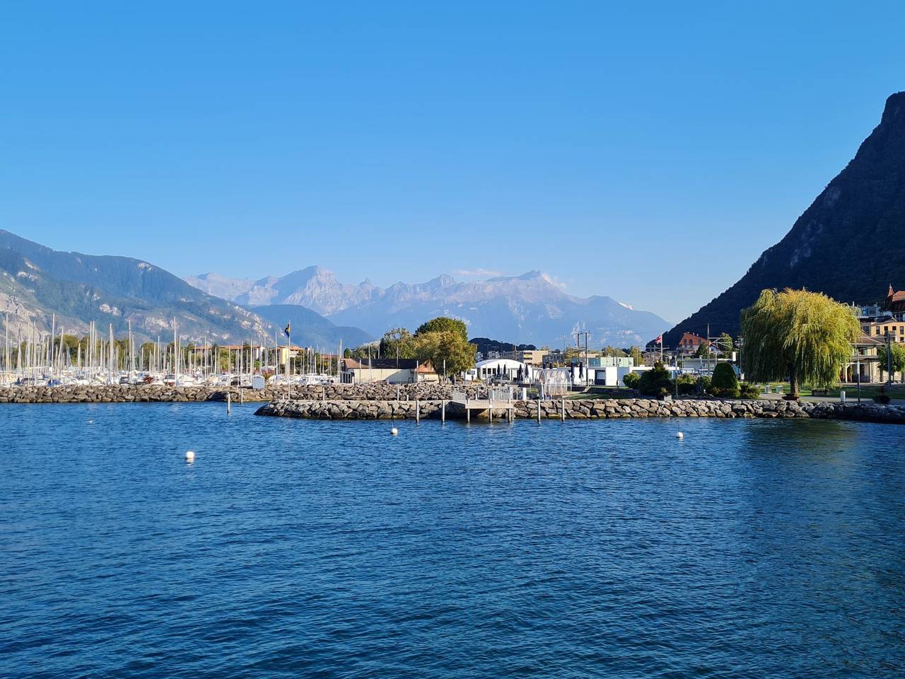 La Maison des Palmiers in Les Evouettes, Port-Valais