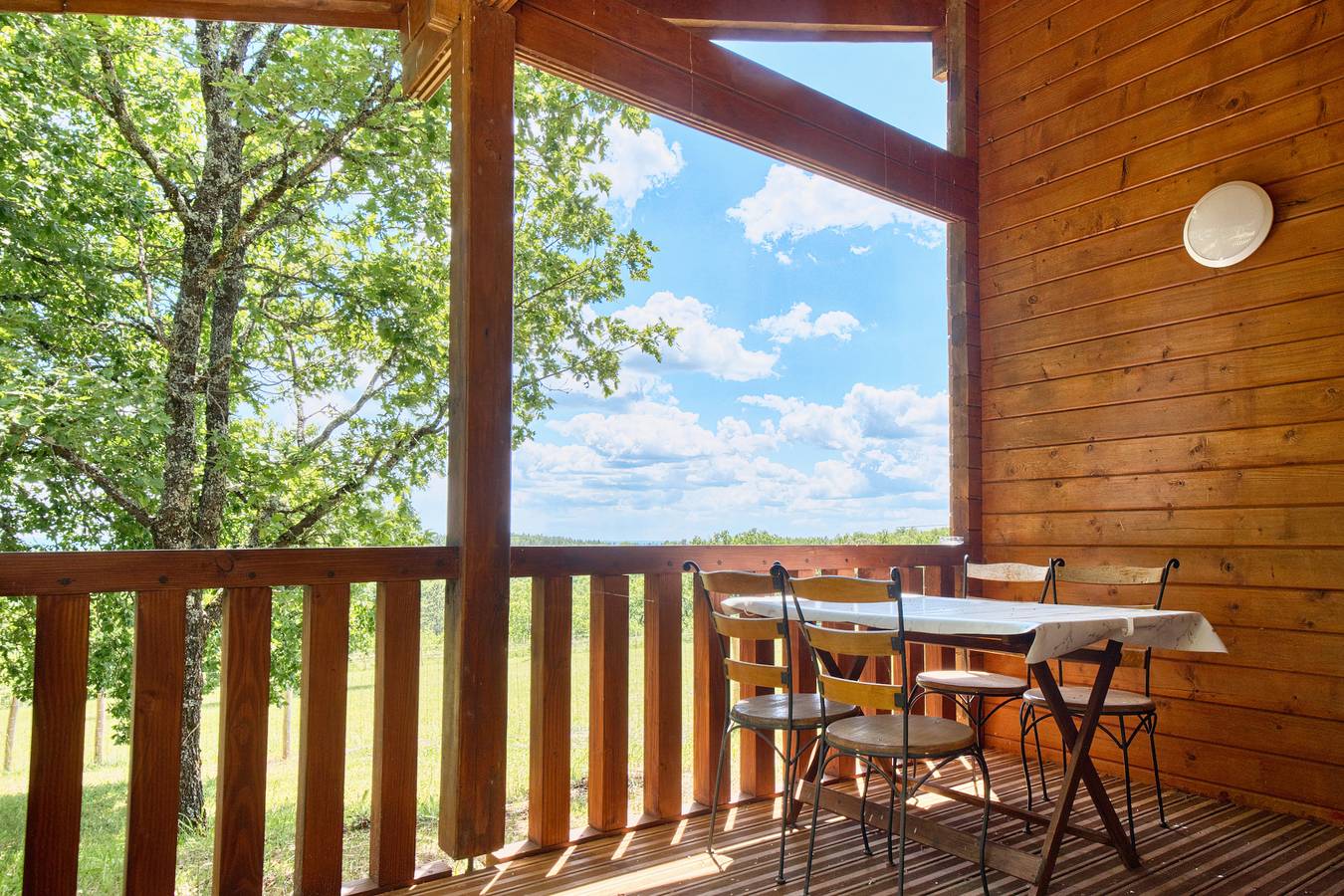 Maison de vacances 'Rapiette' avec piscine partagée, terrasse privée et jardin privé in Salignac-Eyvigues, Périgord Noir