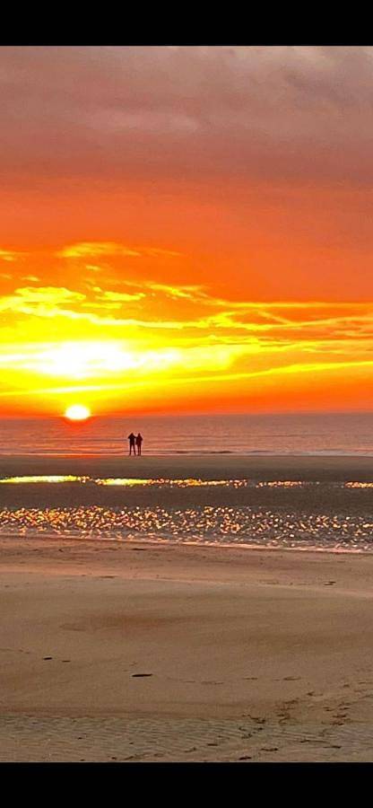 Location de vacances pour 4 personnes, avec jardin et vue, animaux acceptés à Zuienkerke - 2