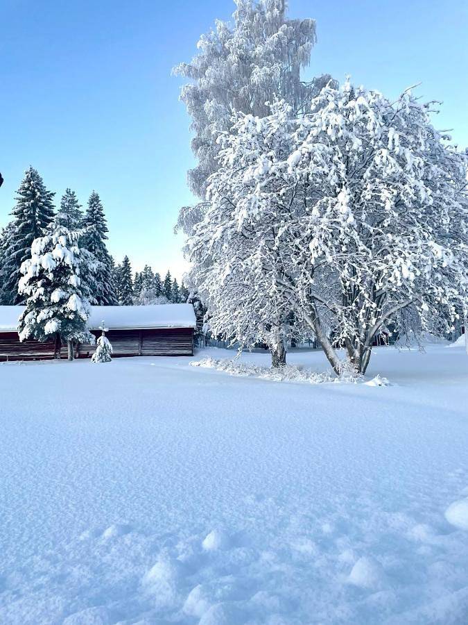 Location de vacances pour 7 personnes, avec sauna et vue sur le lac ainsi que jardin et vue, animaux acceptés à Lulea - 3