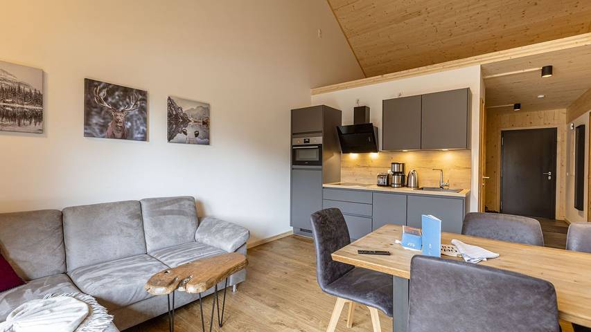 Ferienwohnung für 6 Personen, mit Sauna und Terrasse - 1