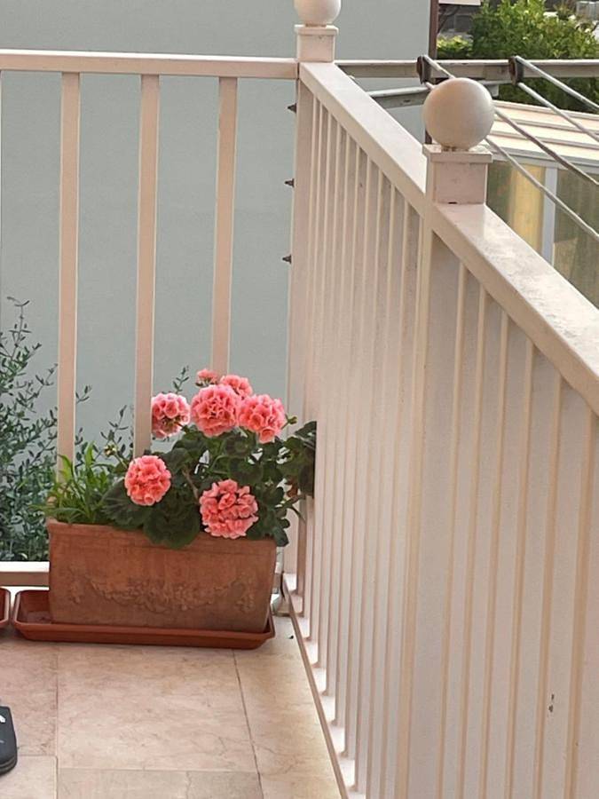 BnB für 2 Personen, mit Ausblick und Garten in Livorno