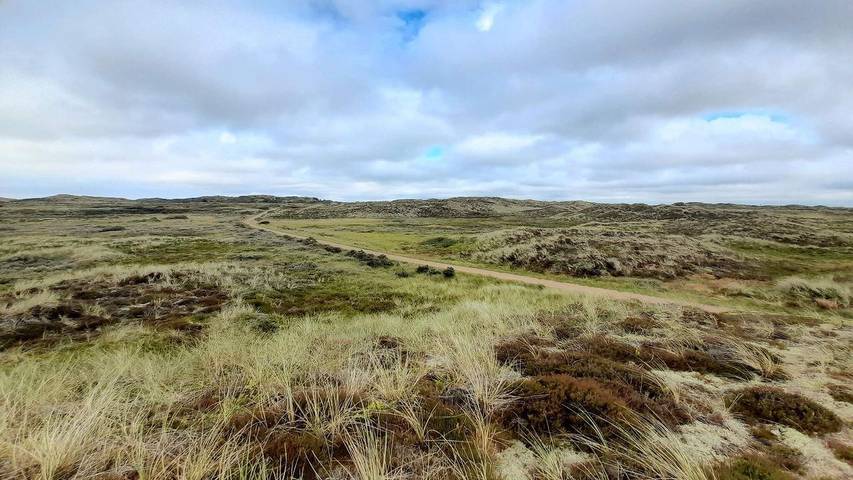 Ferienhaus für 8 Personen, mit Terrasse und Sauna sowie Whirlpool in Nordjütland - 2