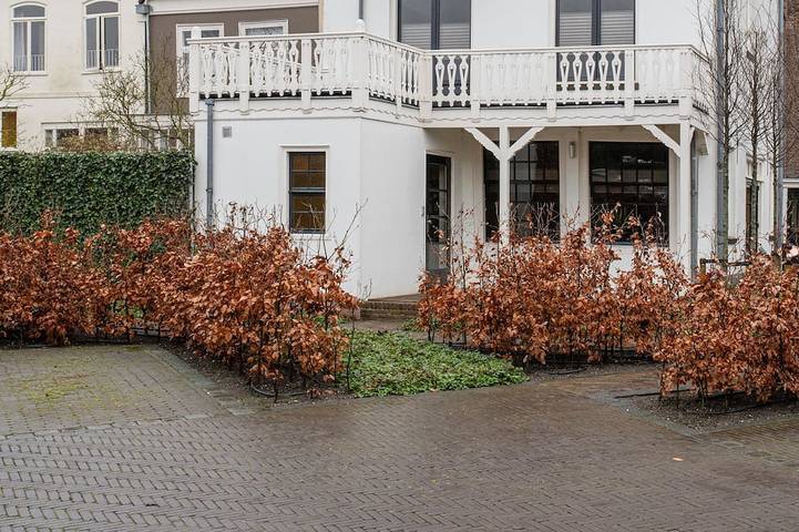 Ferienhaus für 4 Personen, mit Balkon und Garten in Hoorn