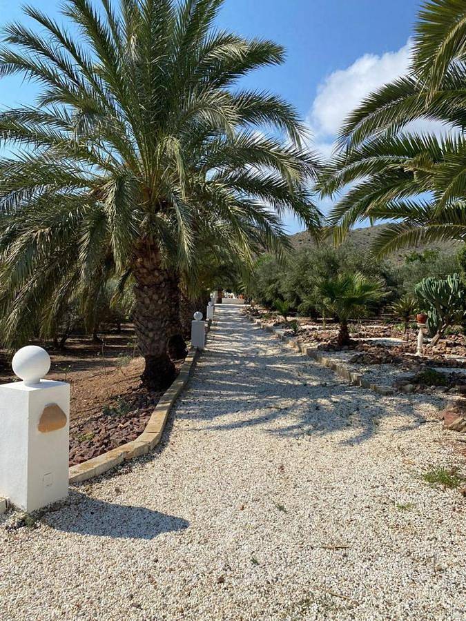Chalet para 4 personas, con vistas además de jardín y piscina, Se admiten mascotas en Cabo de Gata - 4