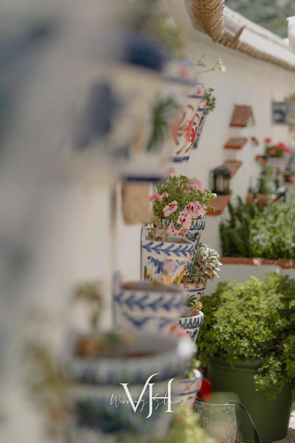 Casa rural para 27 personas, con jardín además de piscina y vistas en Parque Natural Sierras Subbéticas - 4