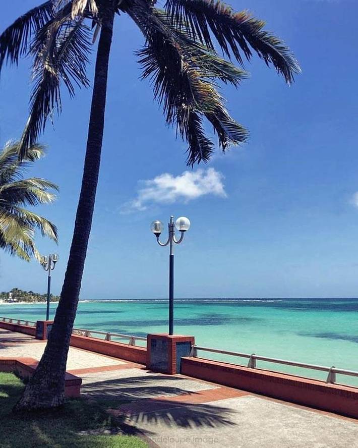 Maison d’hôte pour 2 personnes, avec piscine ainsi que jardin et jacuzzi en Guadeloupe - 4