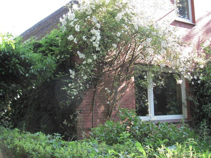 Ferienwohnung für 2 Personen, mit Garten, mit Haustier in Timmeler Meer - 3