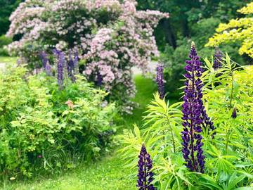 Cottage for 5 People in Capre Breton Island, Nova Scotia, Photo 4