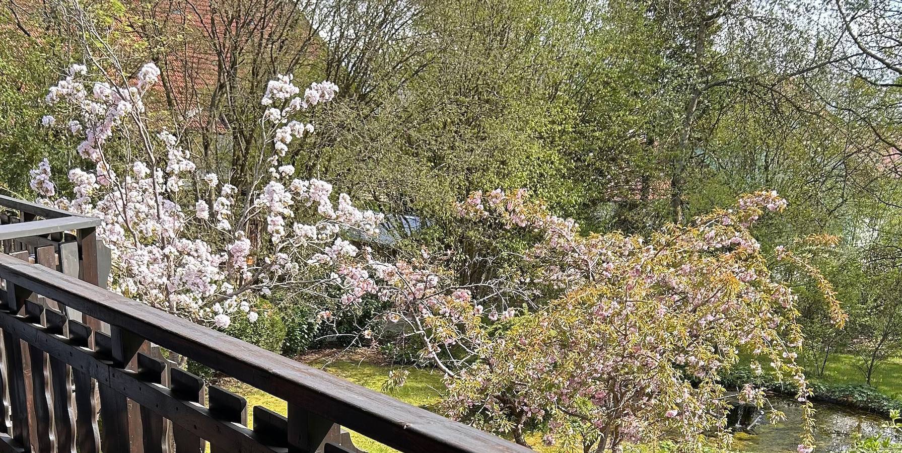 Studio entier, Studio paisible avec balcon et vue sur la verdure - Apartment Gardenview in Kinsau, Romantische Straße