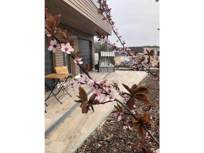 Ferienhaus für 2 Personen, mit Terrasse in Rheinsberg - 2