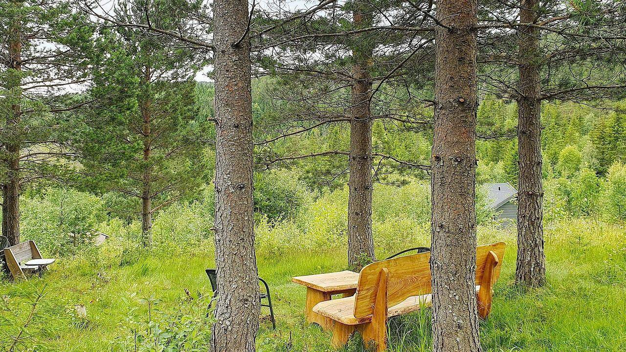 Ferienhaus für 6 Personen (55 m²) in Passebekk in Kongsberg