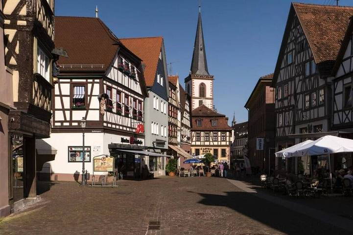 Ganze Wohnung, Corona und Hochwasser - Sicher  durch Lage und separatem Eingang in Marktheidenfeld, Spessart-Mainland