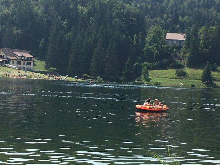 Gîte pour 4 personnes, avec sauna ainsi que vue et jardin, animaux acceptés à La Pesse - 4
