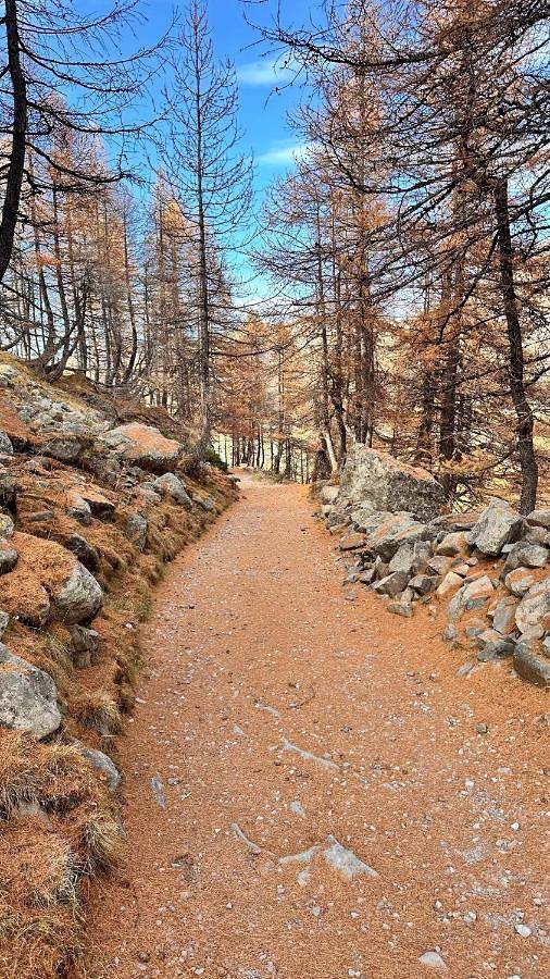 Gîte pour 4 personnes, avec vue et terrasse dans Cinéma L'Aiguille - 4