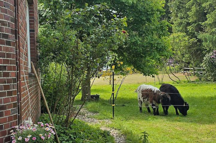 Ferienwohnung für 4 Personen, mit Garten - 1
