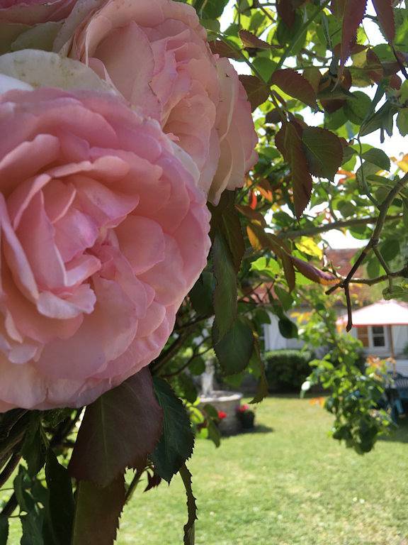 Gîte pour 8 personnes, avec terrasse, animaux acceptés à Amboise - 3