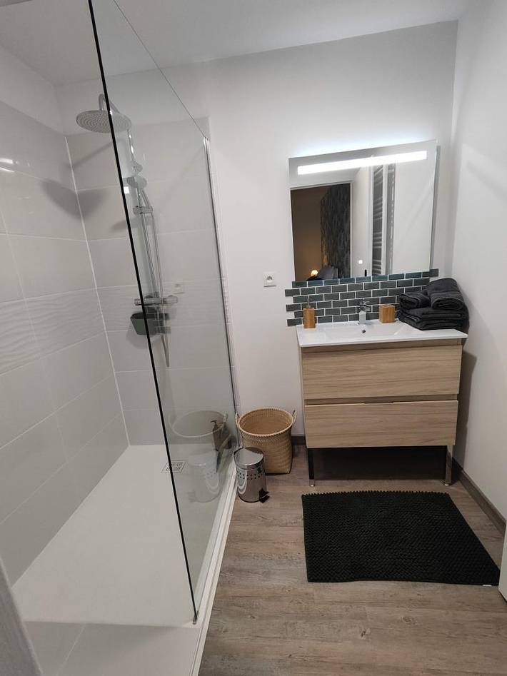 Gîte pour 6 personnes, avec terrasse à Albi - 4