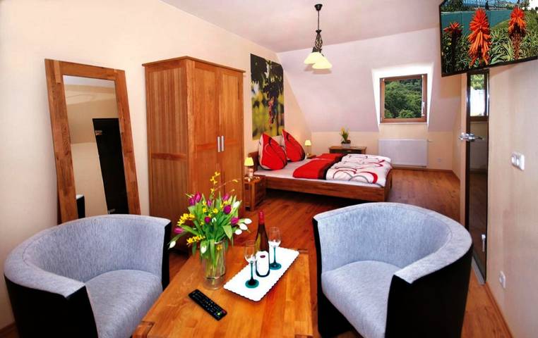 Gîte pour 2 personnes, avec jardin à Oestrich-Winkel - 3