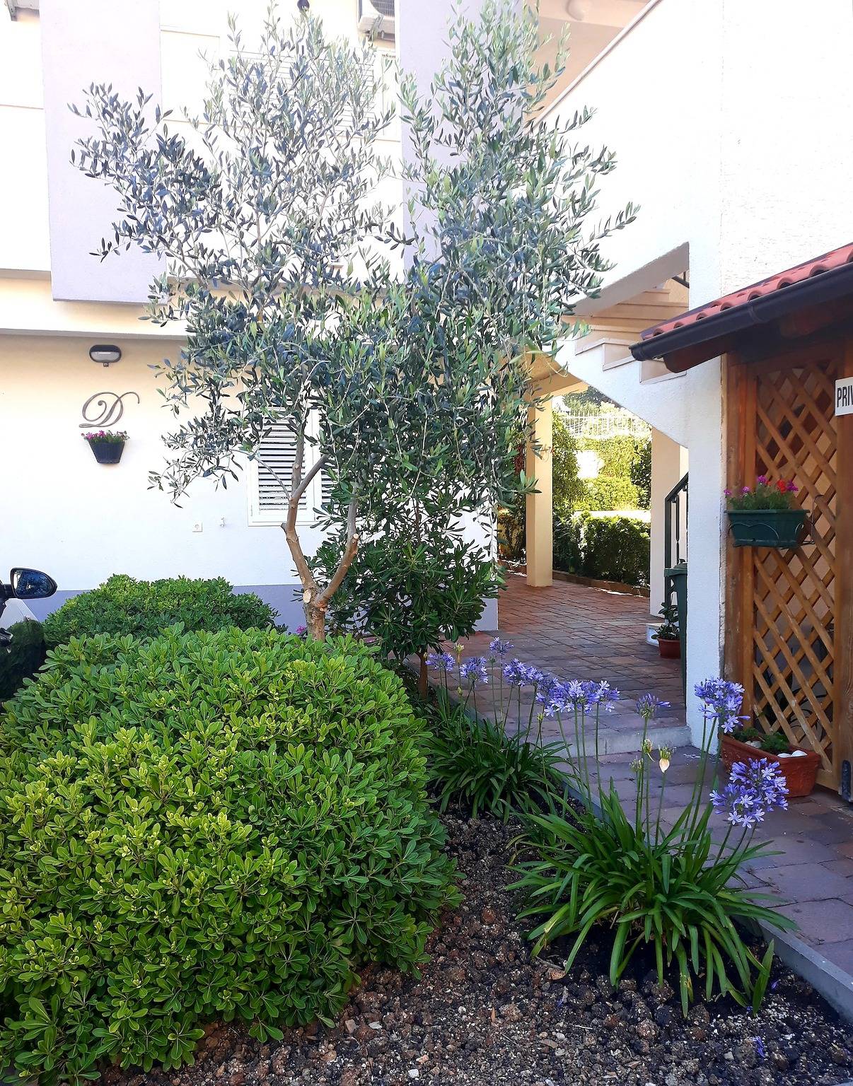 Ganze Wohnung, 1-Zimmer-Ferienwohnung mit Balkon Baska Voda, Makarska A-6707-a in Baska Voda, Makarska Riviera