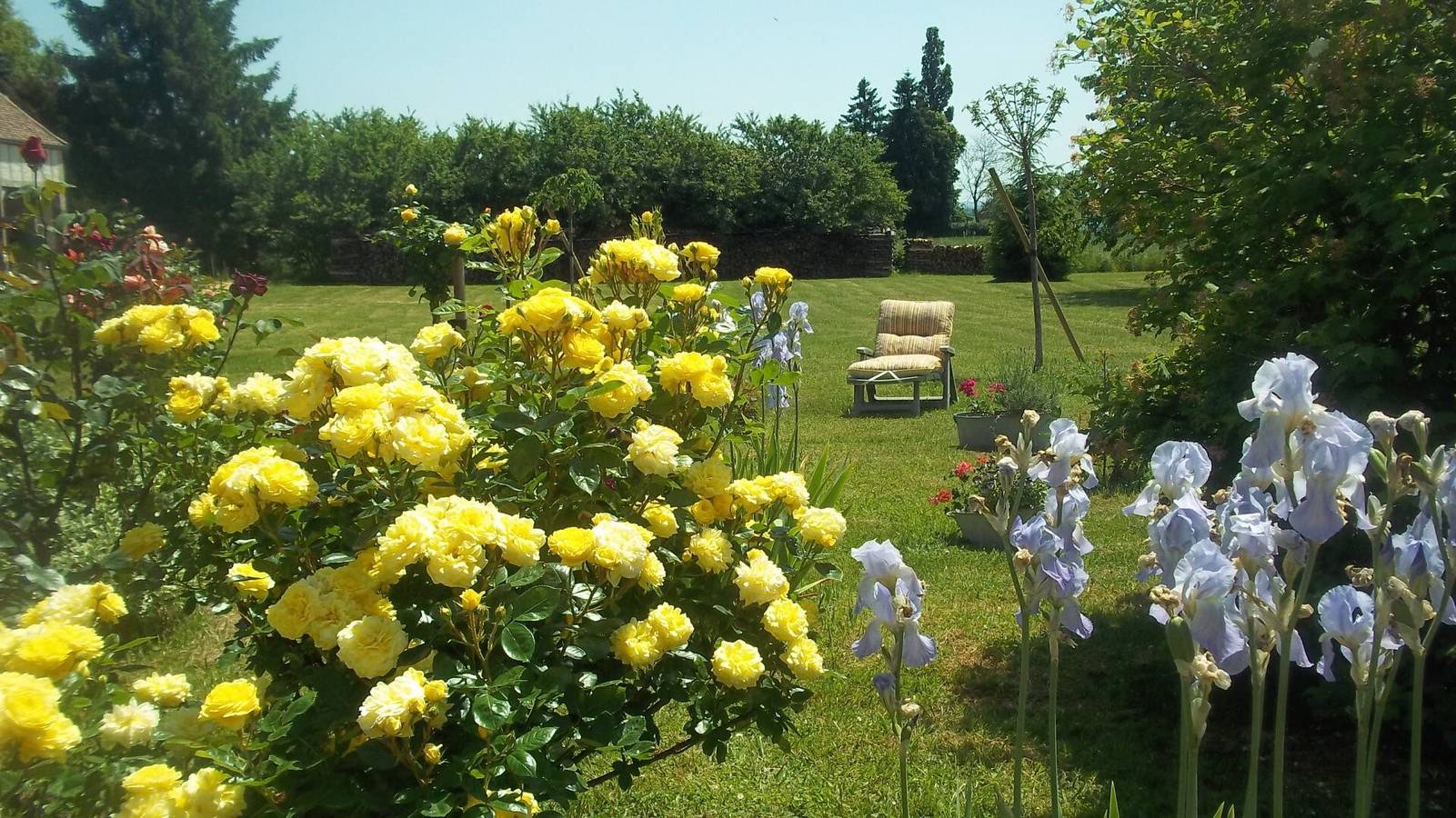 Bed & Breakfast 'Chambre Sauge' mit gemeinsamer Terrasse, Garten und Wlan in Eaux-Puiseaux, Aube