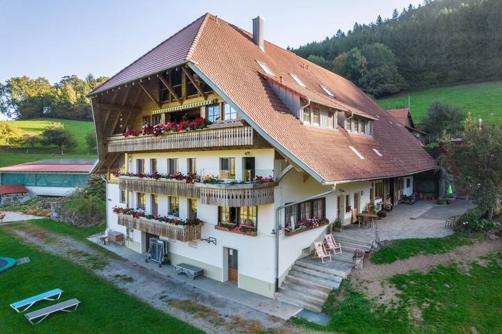 Ferienwohnung für 9 Personen, mit Balkon und Garten in Mittlerer Schwarzwald - 2