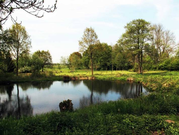 Ferienwohnung für 7 Personen, mit Garten, kinderfreundlich im Altmark - 4