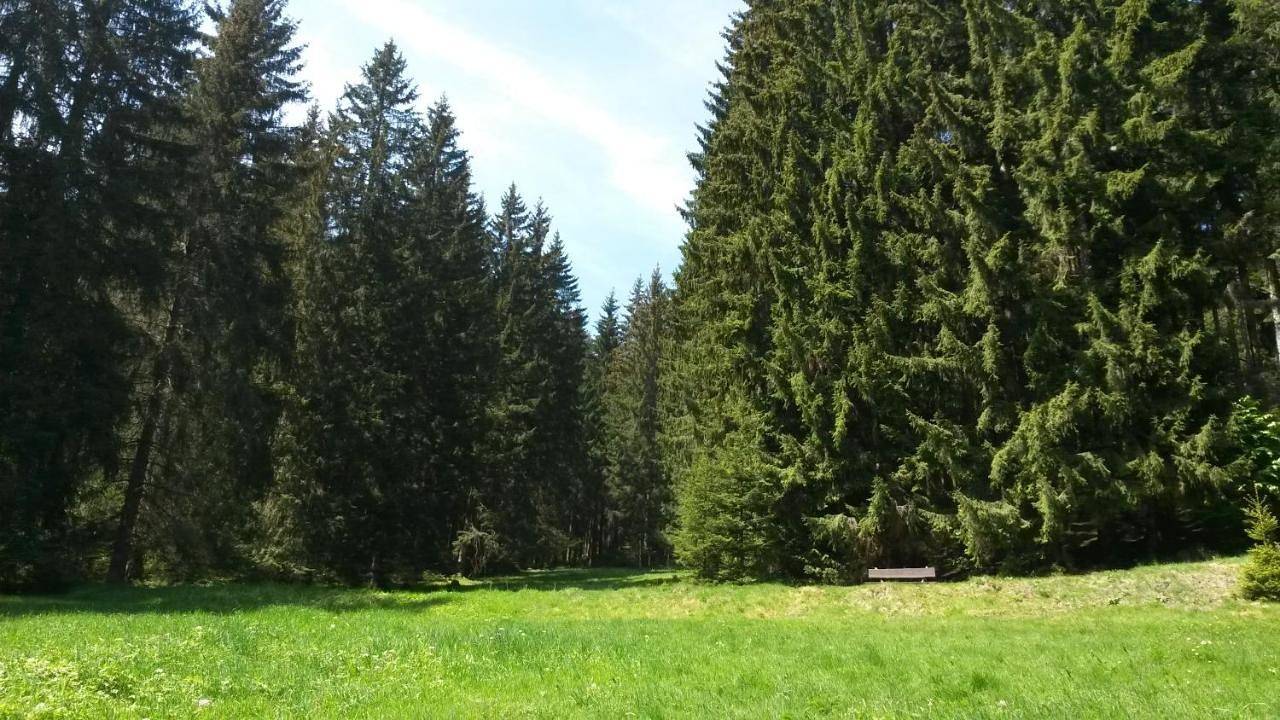 Two-Bedroom House in Großbreitenbach, Rennsteig