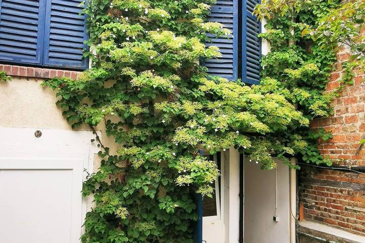 Gîte pour 3 personnes, avec balcon à Bagnolet - 4
