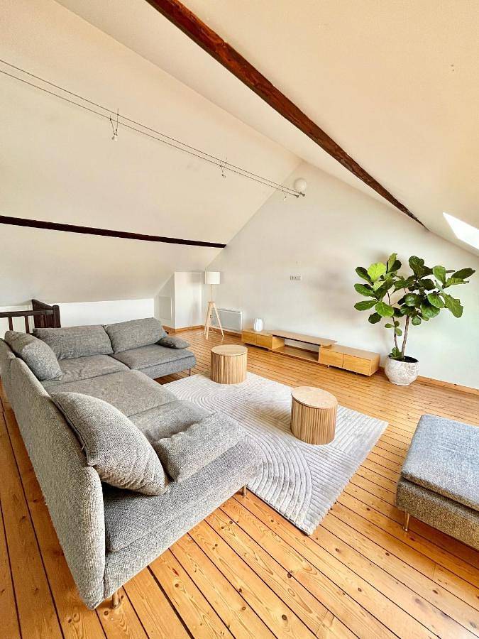 Gîte pour 4 personnes, avec jardin et vue, adapté aux familles dans Le Mesnil-sur-Oger - 4